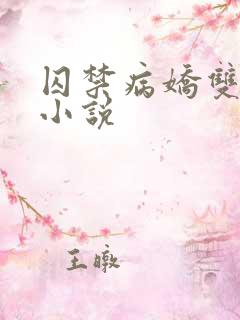 囚禁病娇双男主小说
