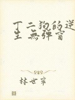 丁二狗的逆袭人生 无弹窗