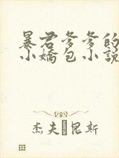 暴君爹爹的团宠小娇包小说阅读