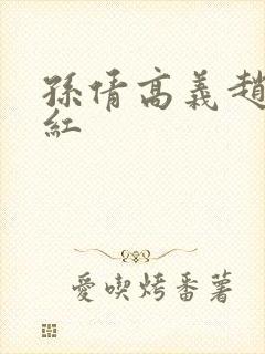 孙倩高义赵振美红