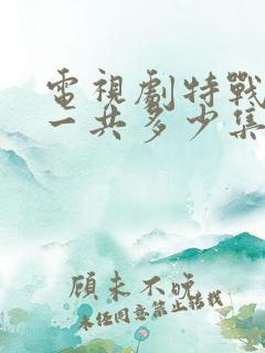 电视剧特战荣耀一共多少集