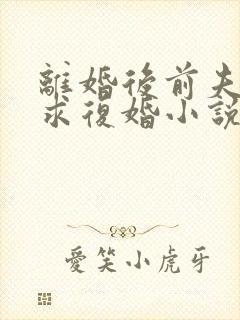 离婚后前夫哭着求复婚小说免费完本