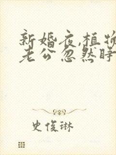 新婚夜,植物人老公忽然睁开眼小说