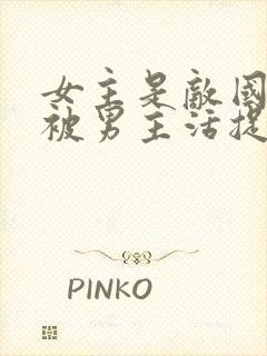 女主是敌国将军被男主活捉