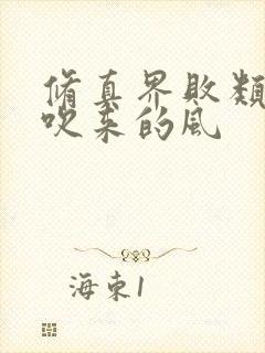 修真界败类大漠吹来的风