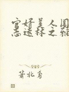 官婿美人图(陈志远林之雅胡云梅)