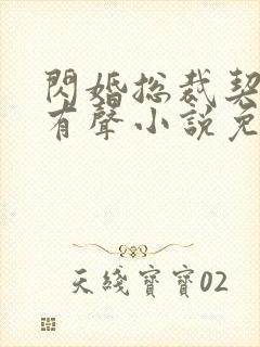 闪婚总裁契约妻有声小说免费听