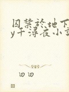 囚禁于地下室by千浔夜小说笔趣阁