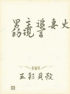 男主追妻火葬场的现言