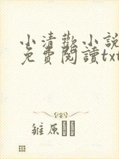 小清欢小说全文免费阅读txt