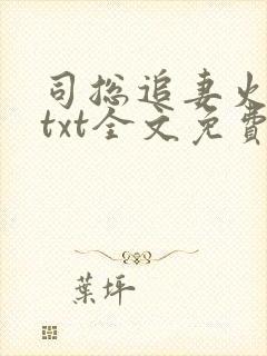 司总追妻火葬场txt全文免费下载