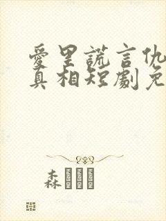 爱里谎言仇恨的真相短剧免费观看