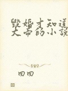 毁婚才知道我是大帝的小说免费阅读