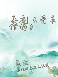 泰剧《爱来了别错过》