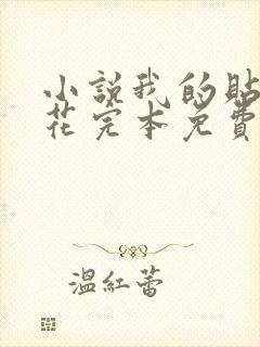 小说我的贴身校花完本免费阅读