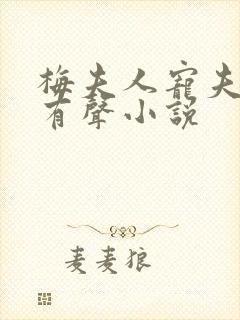 梅夫人宠夫日常有声小说