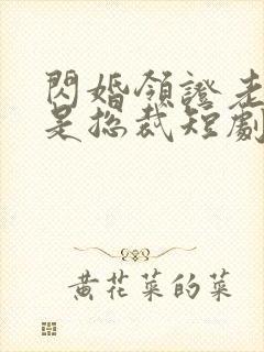 闪婚领证老公竟是总裁短剧