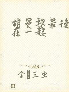 胡曼黎最后和谁在一起