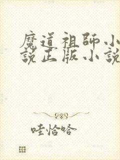 魔道祖师小说小说正版小说