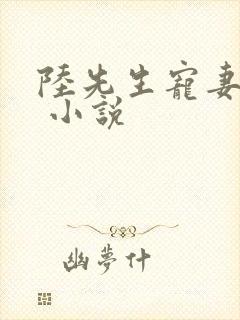 陆先生宠妻无度 小说