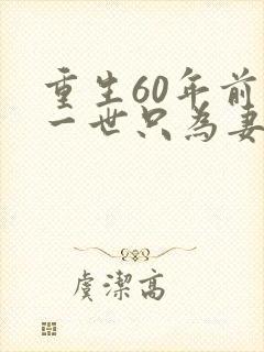 重生60年前这一世只为妻儿