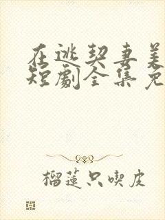 在逃契妻美又飒短剧全集免费播放