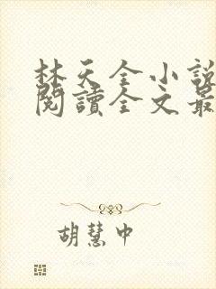 林天全小说免费阅读全文最新章节