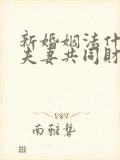 新婚姻法什么是夫妻共同财产