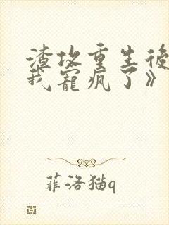 渣攻重生后,把我宠疯了》