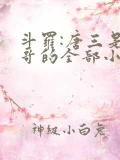 斗罗:唐三是我哥的全部小说