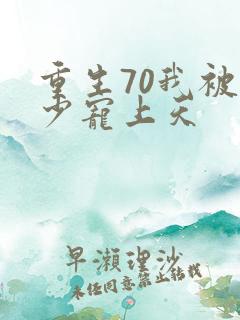 重生70我被军少宠上天