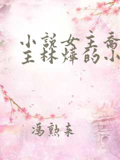 小说女主乔念男主林烨的小说