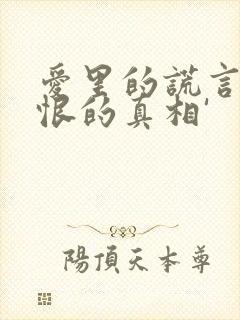 爱里的谎言,仇恨的真相'