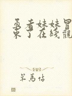 勇者妹妹冒险结束了在线观看动漫免费