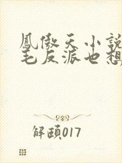 凤傲天小说的黄毛反派也想要幸福