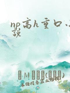 np高h重口小说