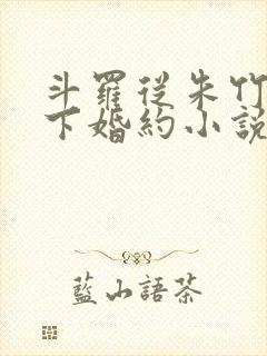 斗罗从朱竹清订下婚约小说