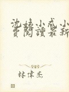 沈姨小成小说免费阅读最新章节更新