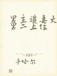 男主追妻火葬场男二上位