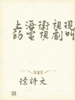 上海卫视现在播的电视剧叫什么名