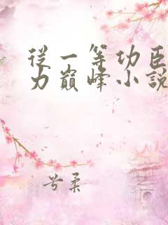 从一等功臣到权力巅峰小说