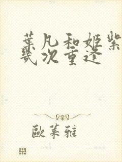 叶凡和姬紫月有几次重逢