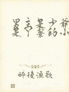 男主是少爷女主是丫鬟的小说