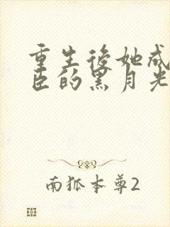 重生后她成了权臣的黑月光小说