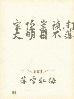 家侄崇祯,打造大明日不落小说 小说