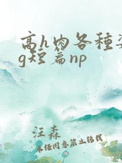 高h肉各种姿势g短篇np