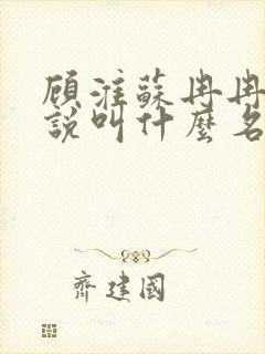 顾淮苏冉冉的小说叫什么名字