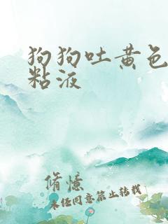 狗狗吐黄色泡沫粘液