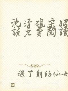 沈清砚宋昭汐小说免费阅读最新章节