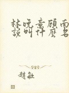 林晚意顾南辰小说叫什么名字